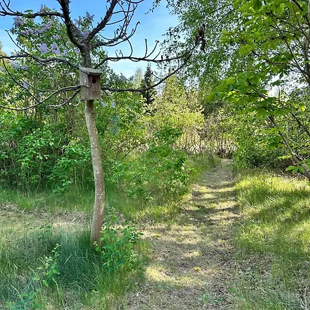 Retro Charm In Red In Lovely Surroundings Bøtø By