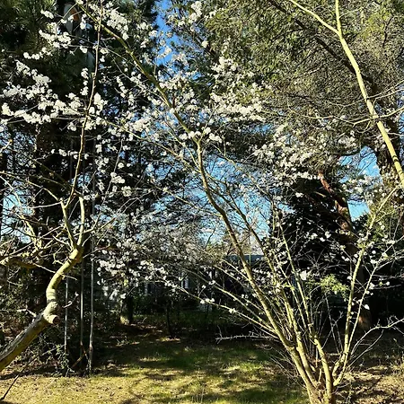 בית נופש Retro Charm In Red In Lovely Surroundings *