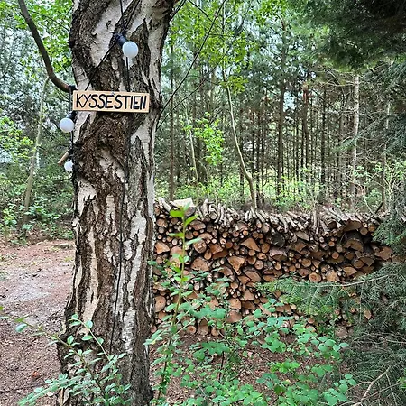 Retro Charm In Red In Lovely Surroundings