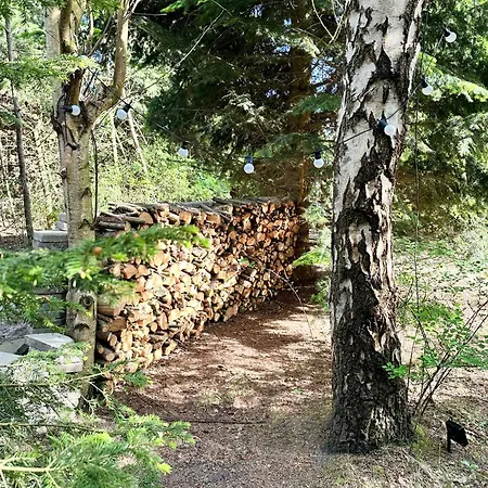 Retro Charm In Red In Lovely Surroundings בית נופש